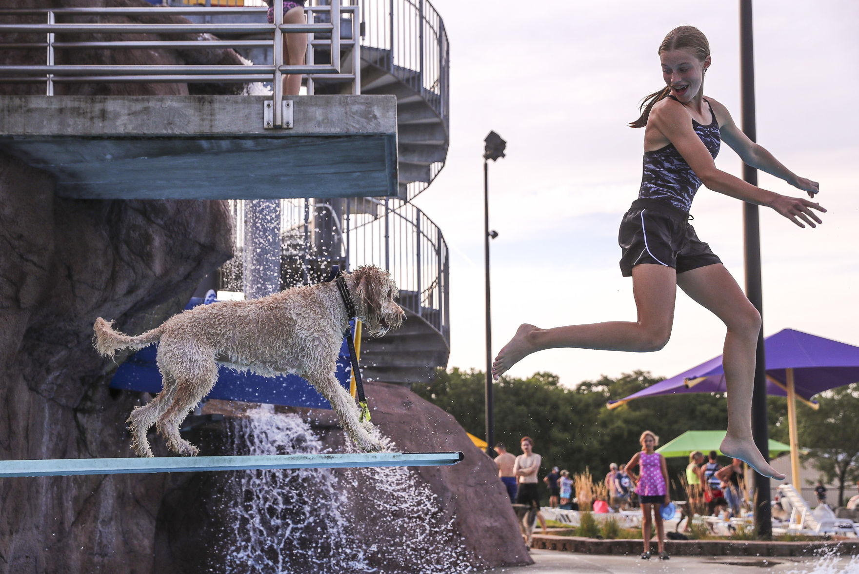 Doggie Dip 2